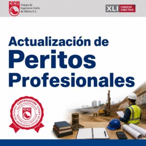 Actualización de Perito Profesional