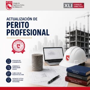 Actualización de Perito Profesional