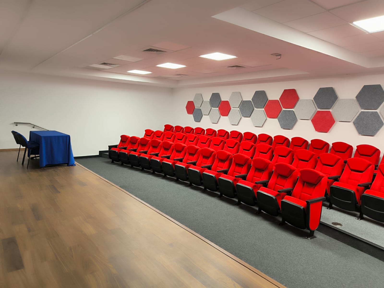 Auditorio Manuel Anaya3