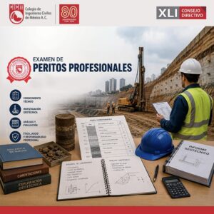 Examen de Aspirantes a Peritos Profesionales