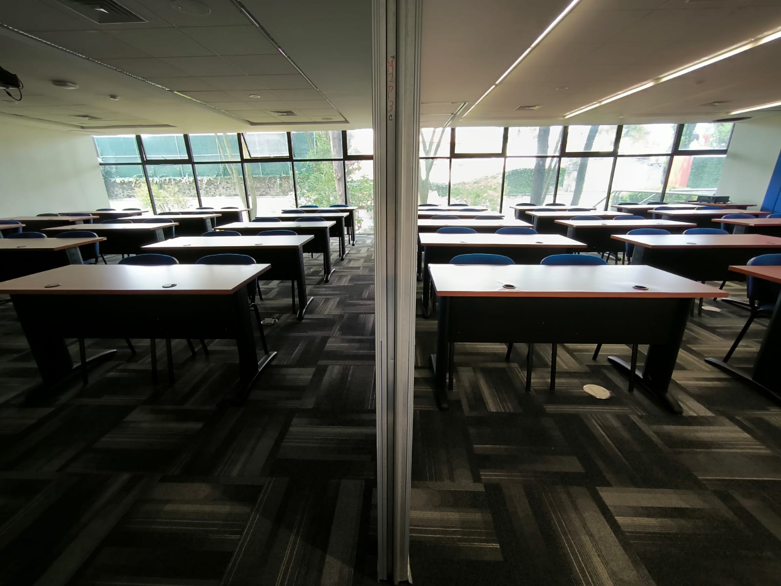 Leopoldo Lieberman Litmainowitz5