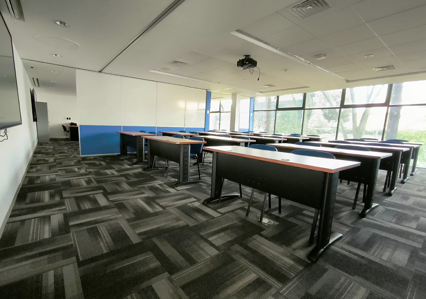 Leopoldo Lieberman Litmainowitz7